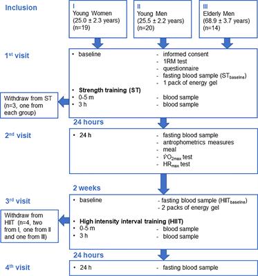 Acute Effects of Strength and Endurance Training on Bone Turnover Markers in Young Adults and Elderly Men